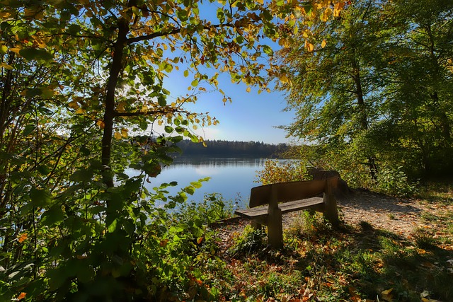 格致中学的 格致中学的