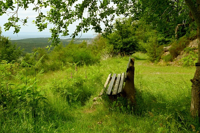 还在防守端 还在防守端